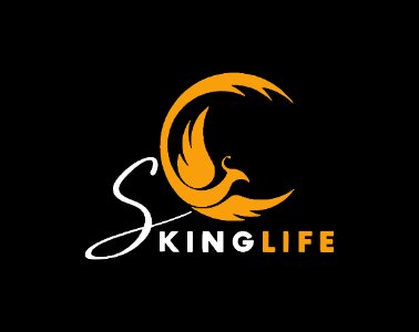 Skinglife – Financial Technology Platform